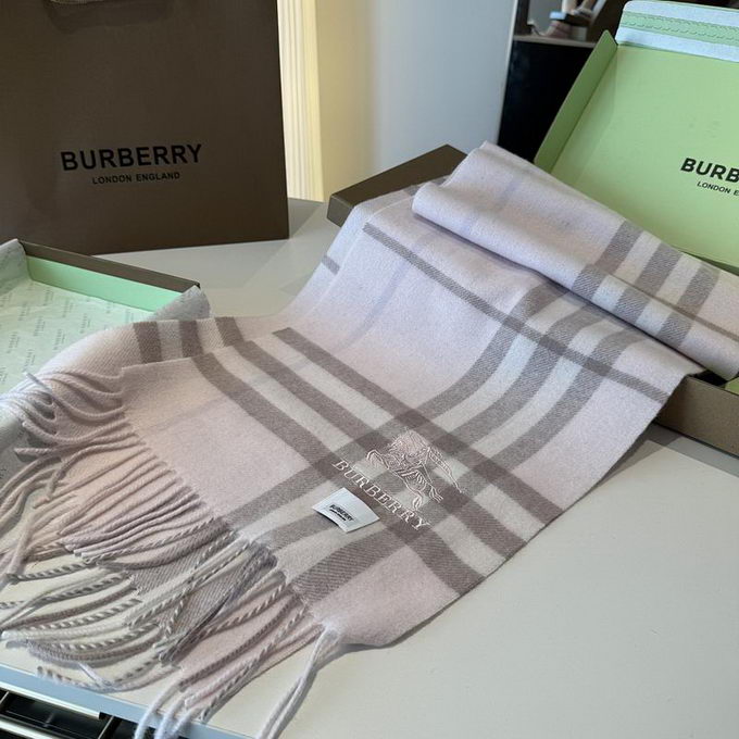 Burberry Scarf ID:20260120-33